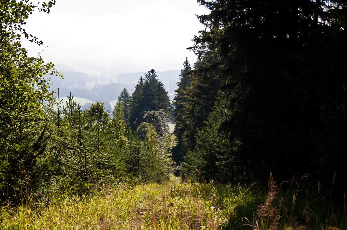 _dsc008266psm.jpg