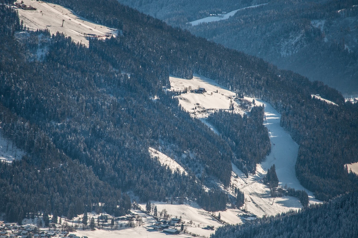 _dsc0085zpkh2.jpg
