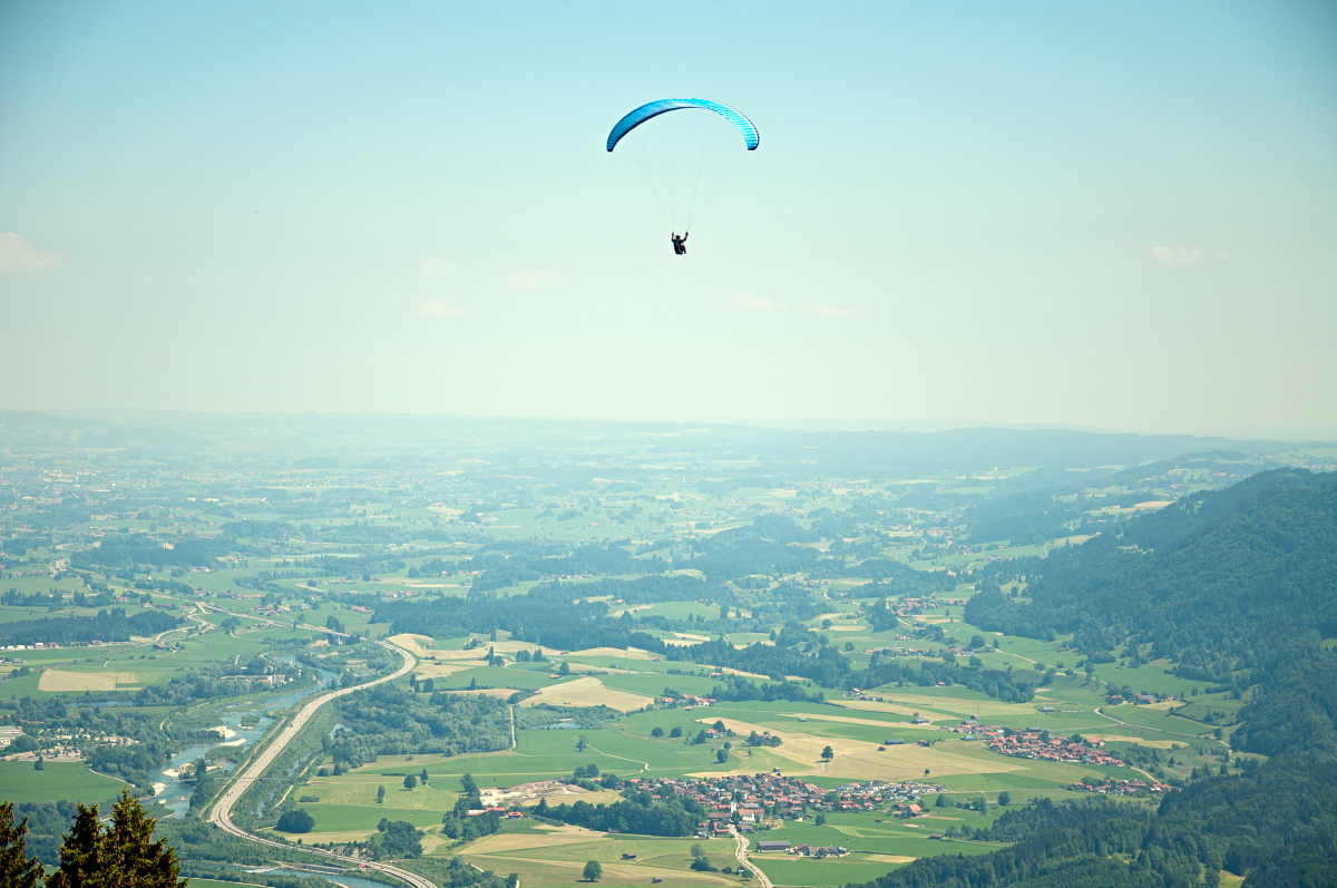 _dsc00868zptp.jpg
