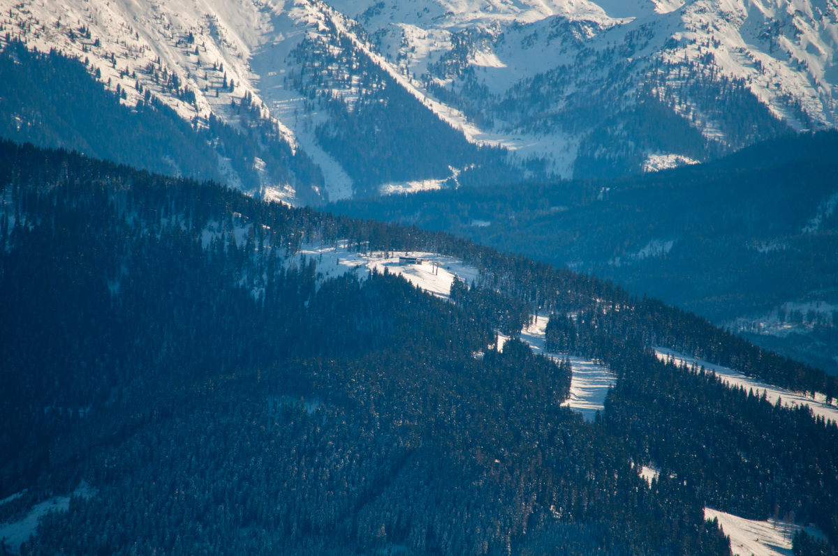 _dsc0086l1j9h.jpg