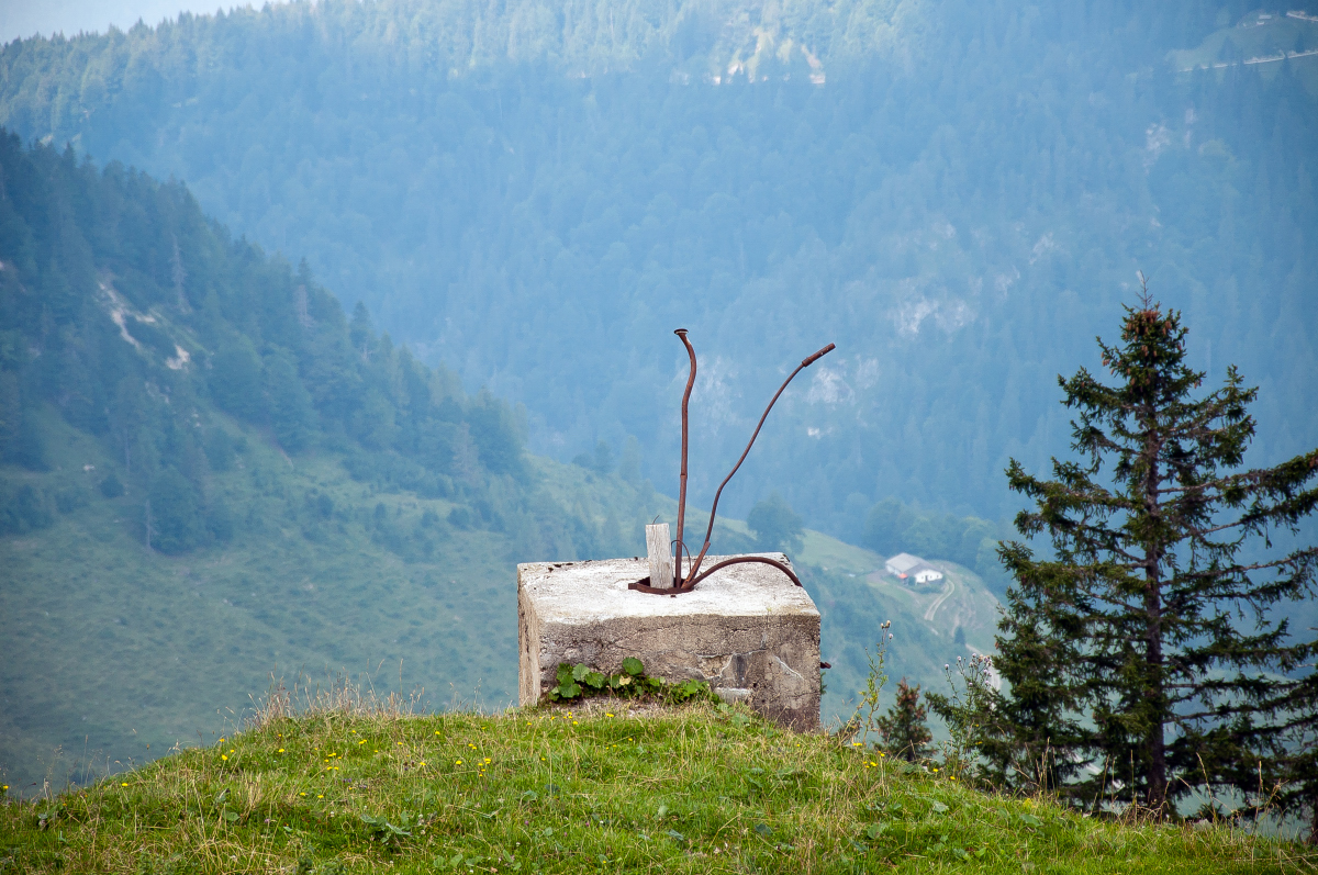_dsc0087jfstn.jpg