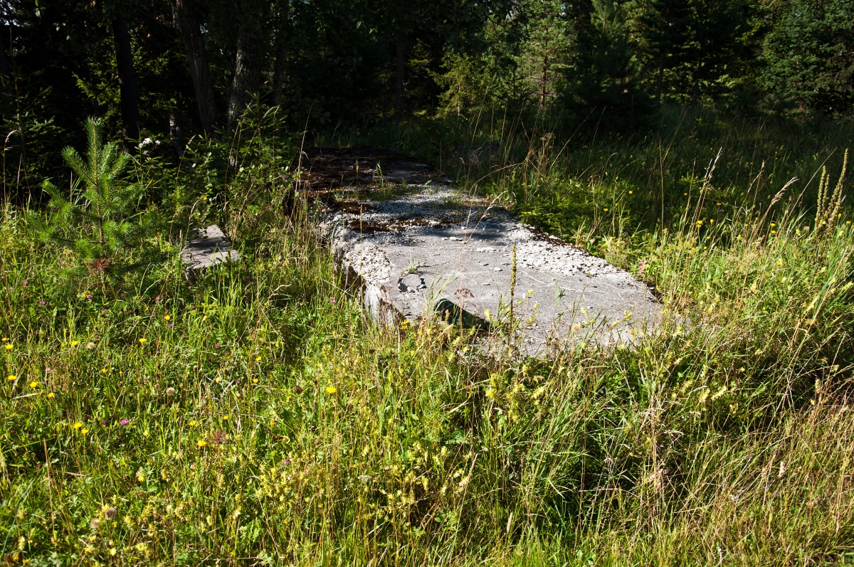 _dsc0088rioig.jpg