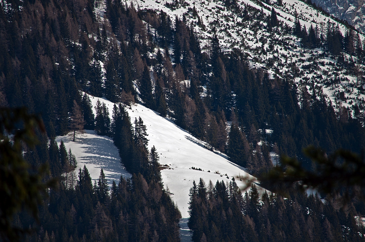 _dsc0091ieoj4.jpg