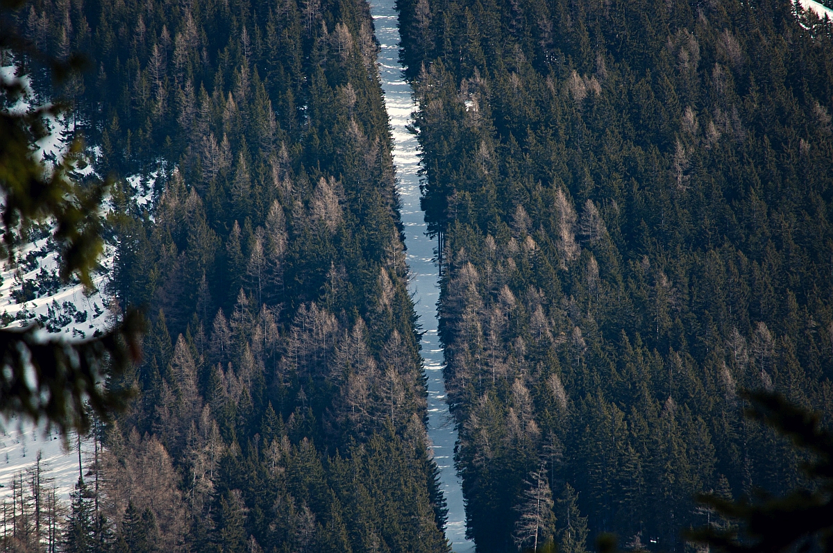 _dsc00924apa9.jpg