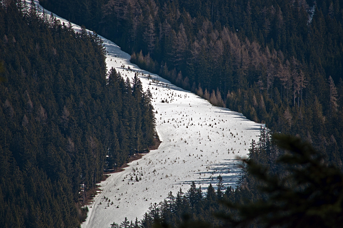 _dsc009551qqu.jpg
