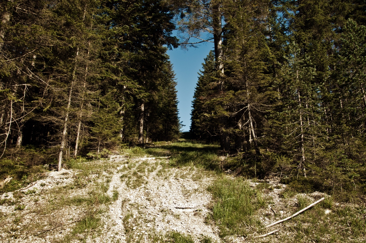 _dsc00980vrx4.jpg