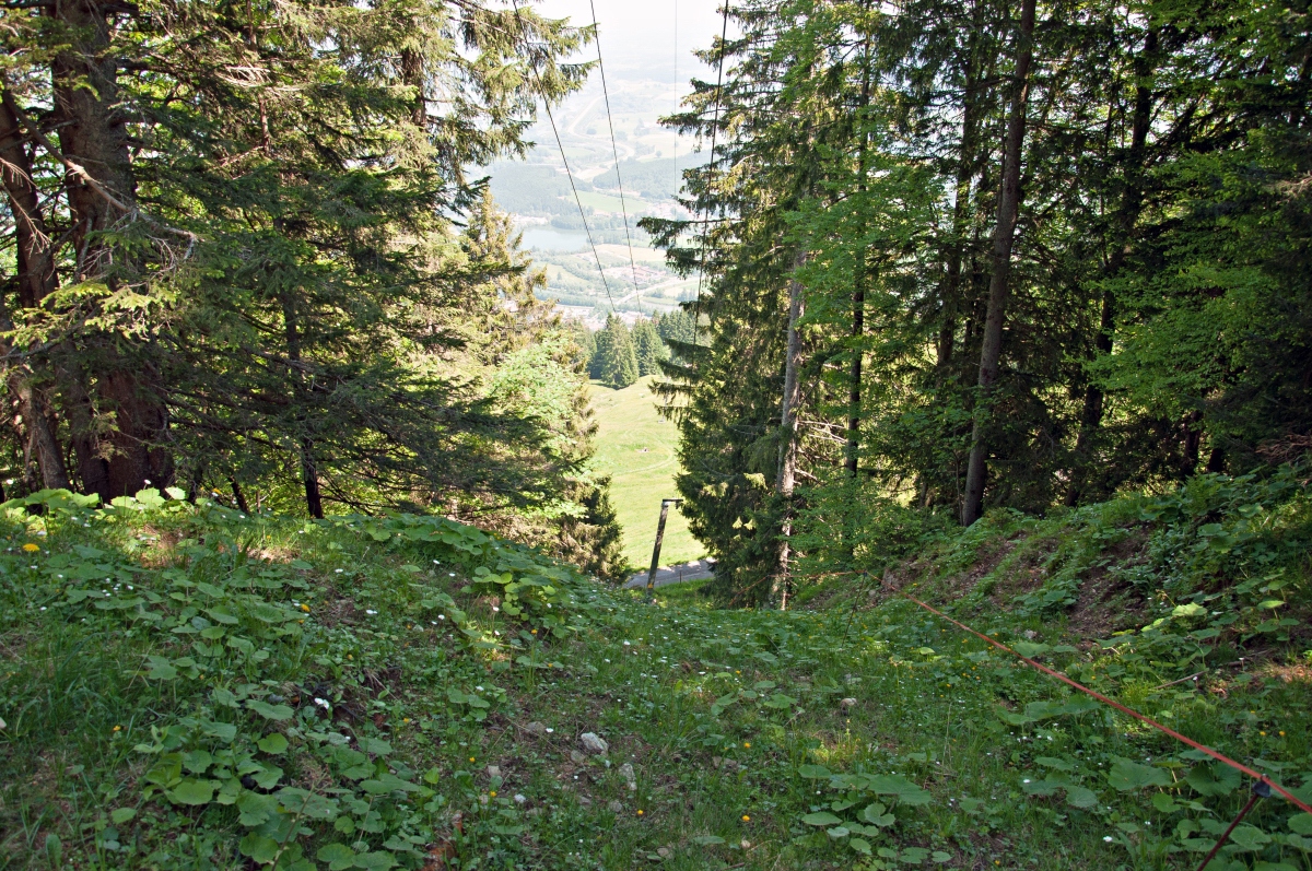 _dsc00982bprb.jpg