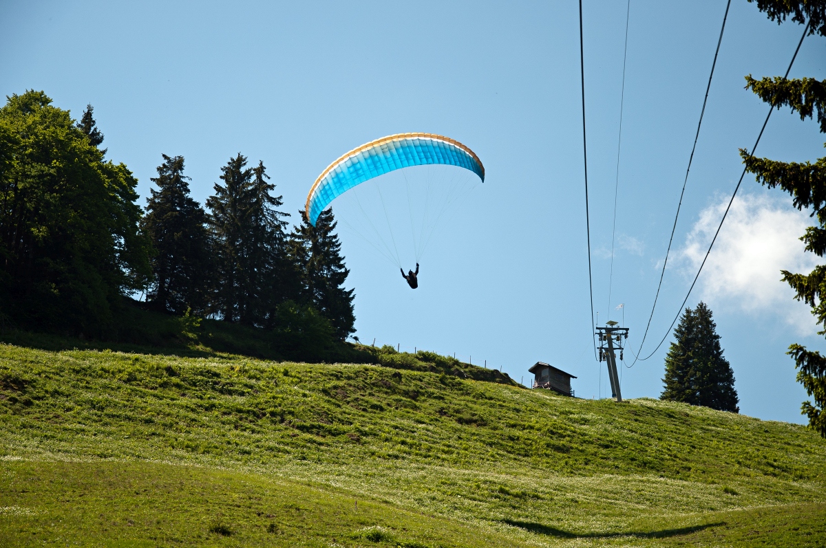 _dsc0099qlqiy.jpg