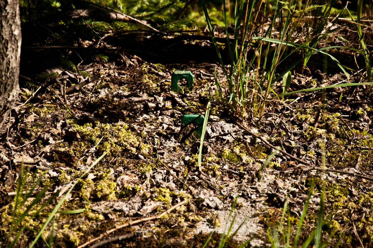 _dsc01010lr73.jpg