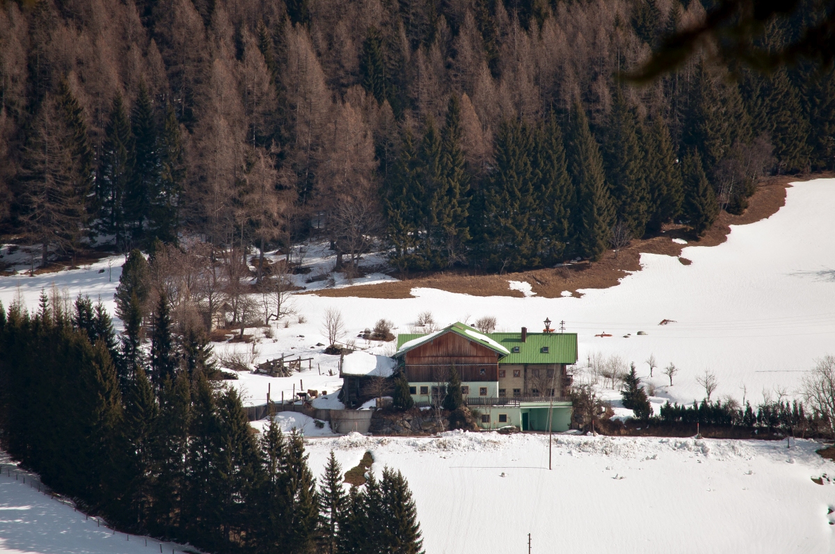 _dsc0101mbobb.jpg
