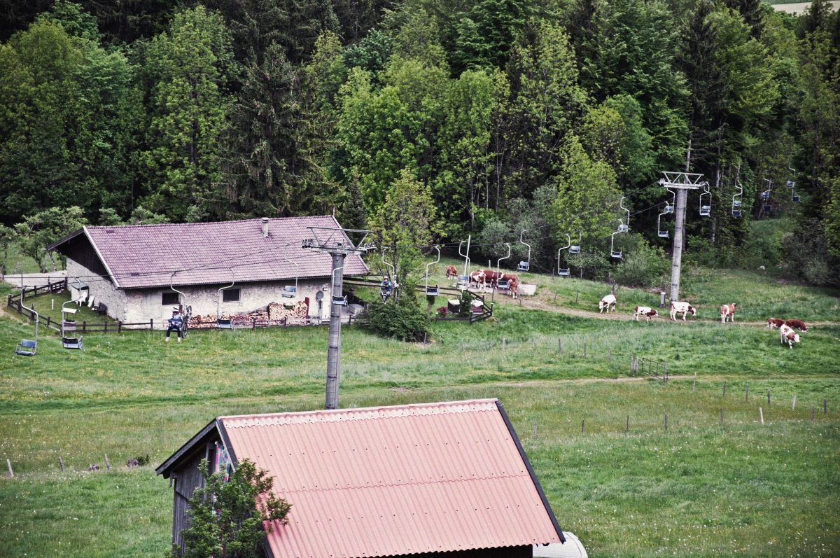 _dsc0101zzc58.jpg