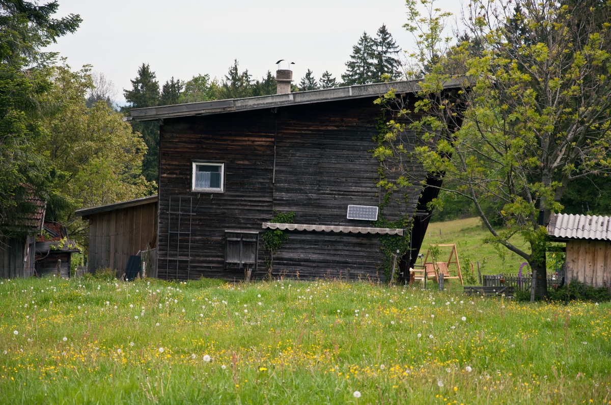_dsc01071tdv1.jpg