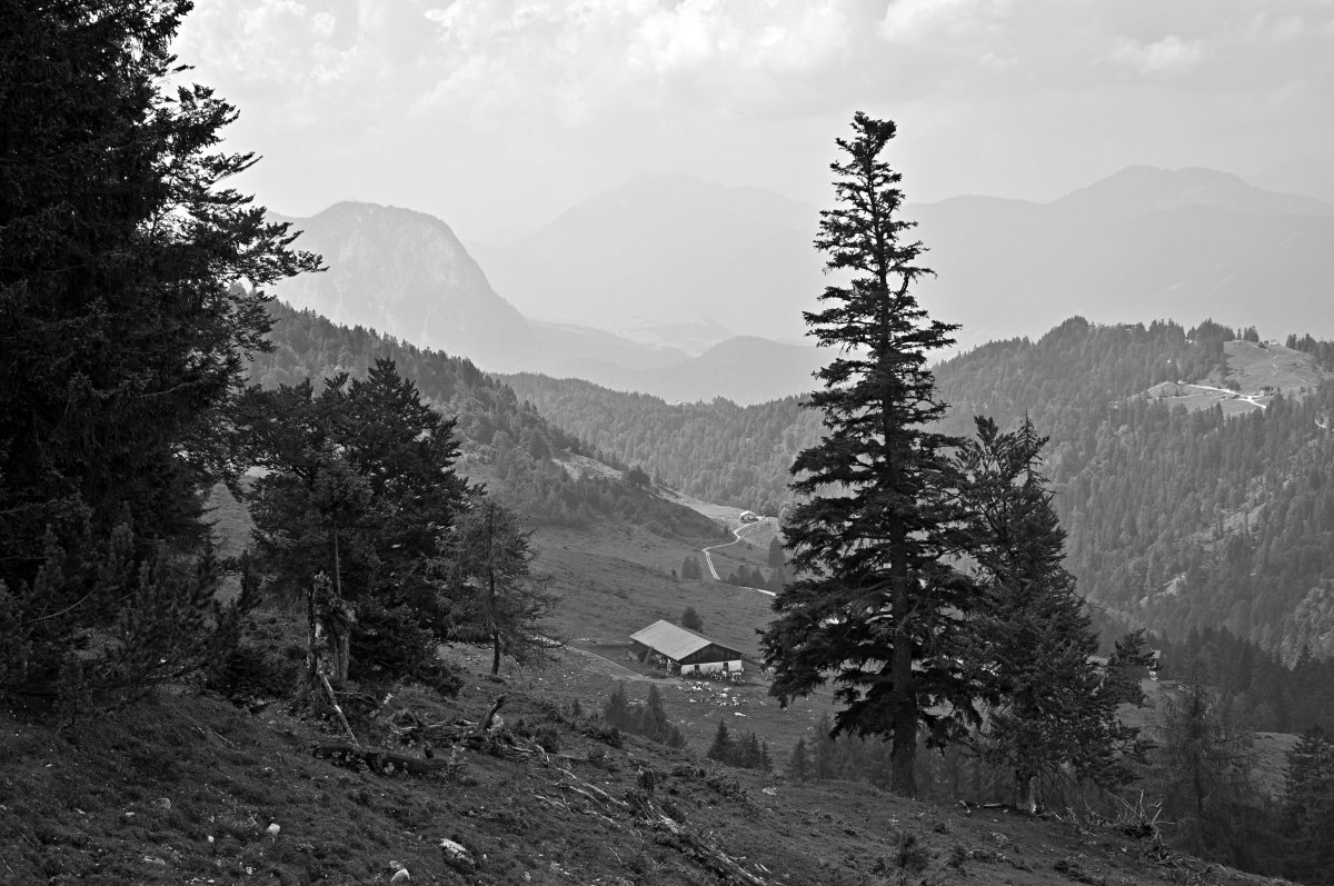 _dsc0107cnspr.jpg