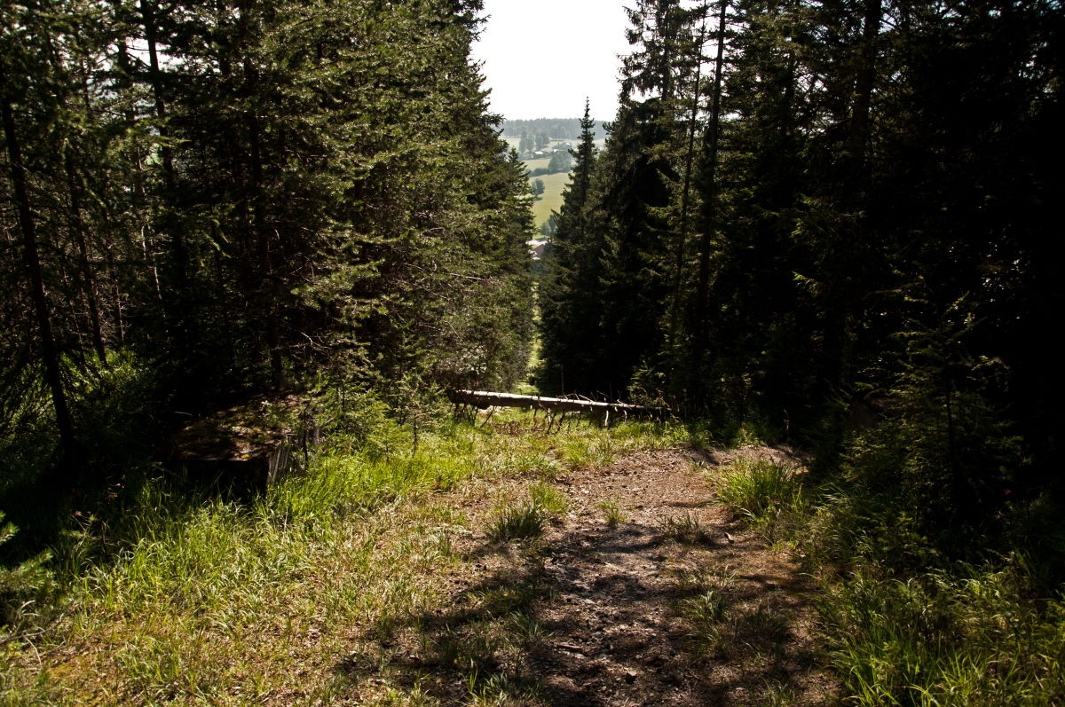 _dsc01099prtm.jpg