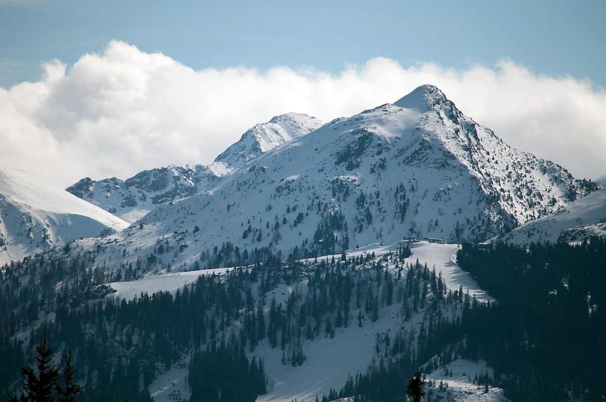 _dsc01122lo99.jpg
