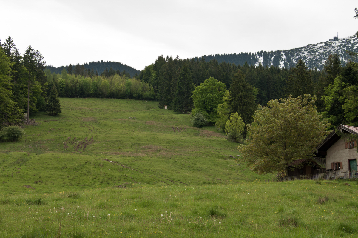 _dsc0116u8c2d.jpg