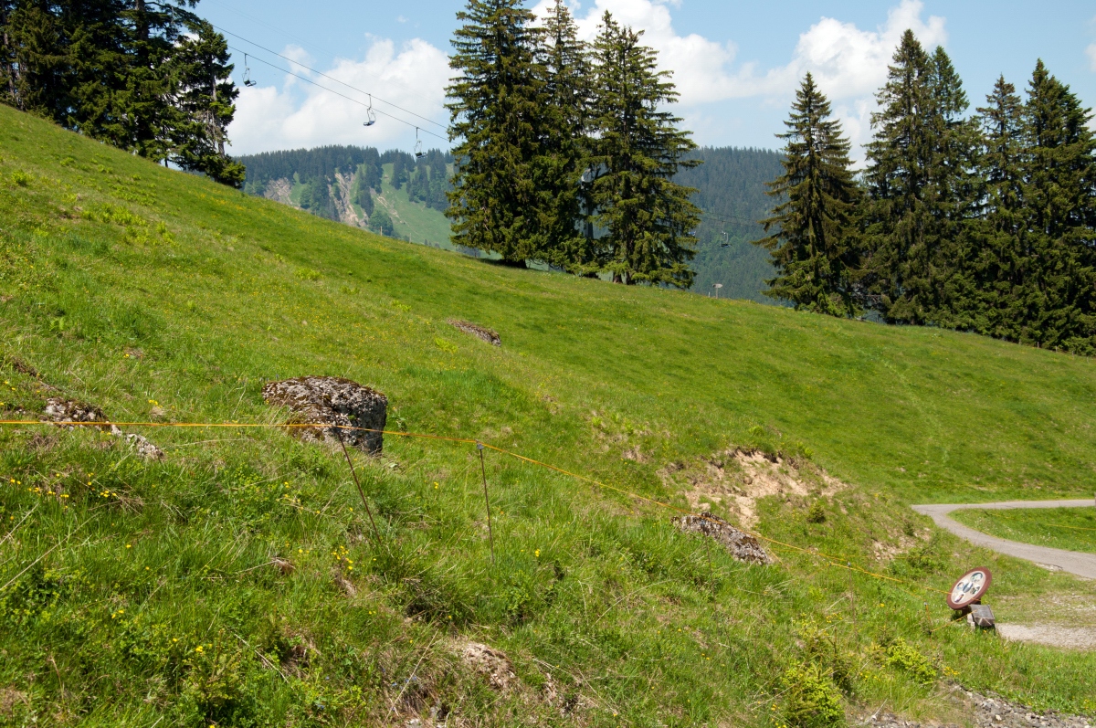 _dsc0117dvrqg.jpg