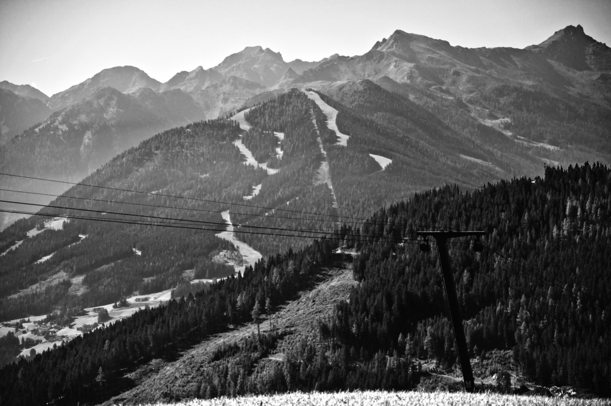 _dsc0122herqc.jpg