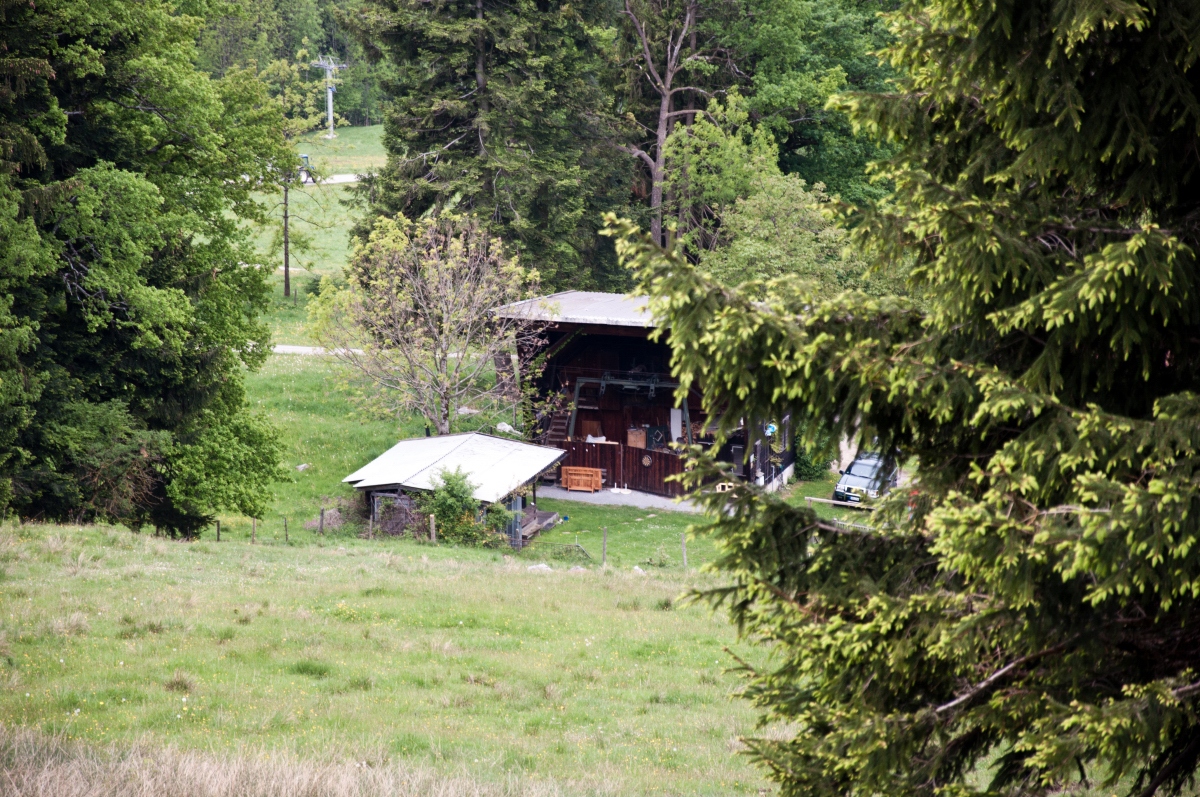 _dsc0129emd9m.jpg