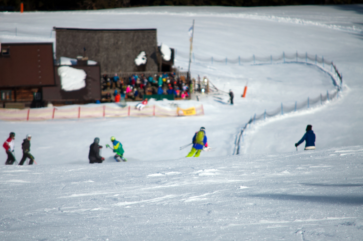 _dsc01304fdne.jpg