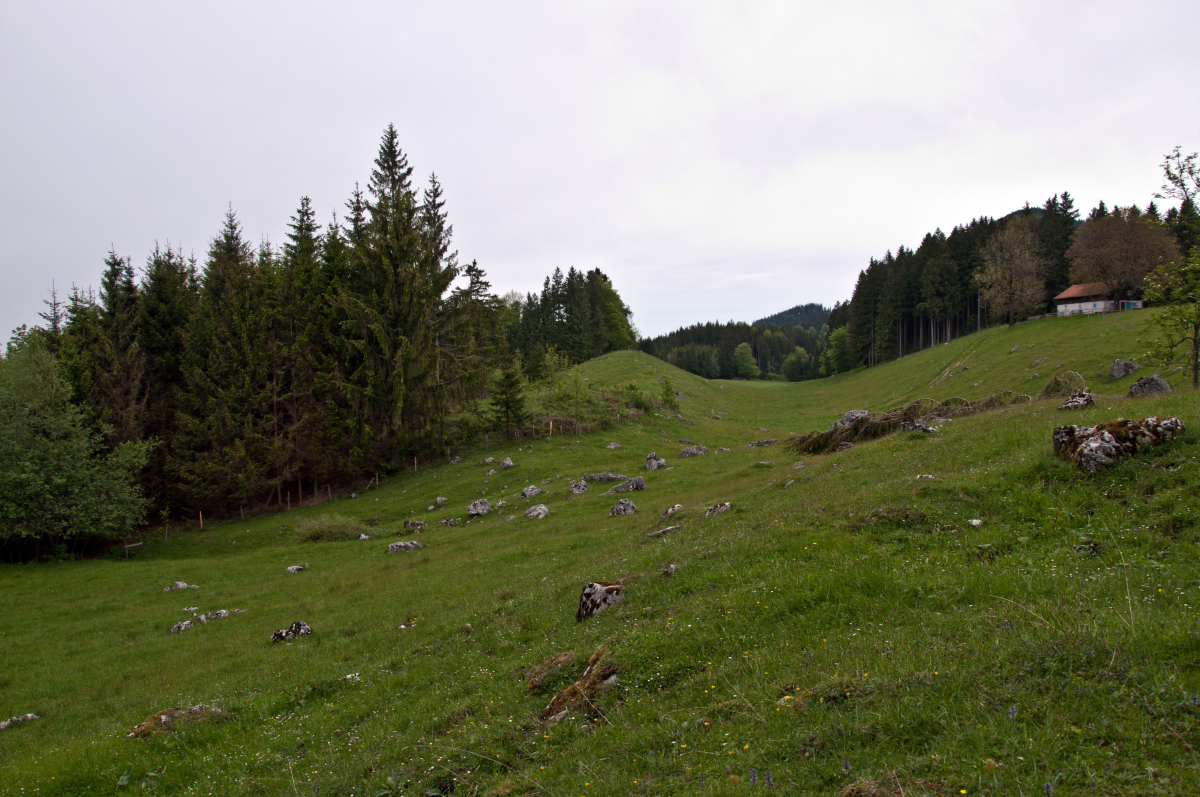 _dsc0131klf95.jpg