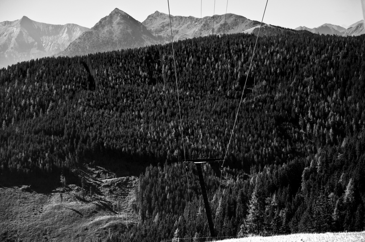 _dsc0131pur6m.jpg