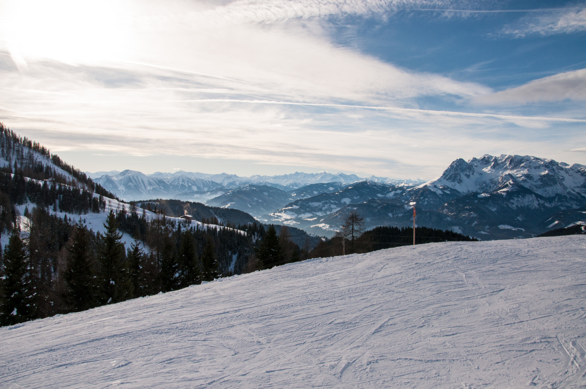 _dsc0136bvjpp.jpg