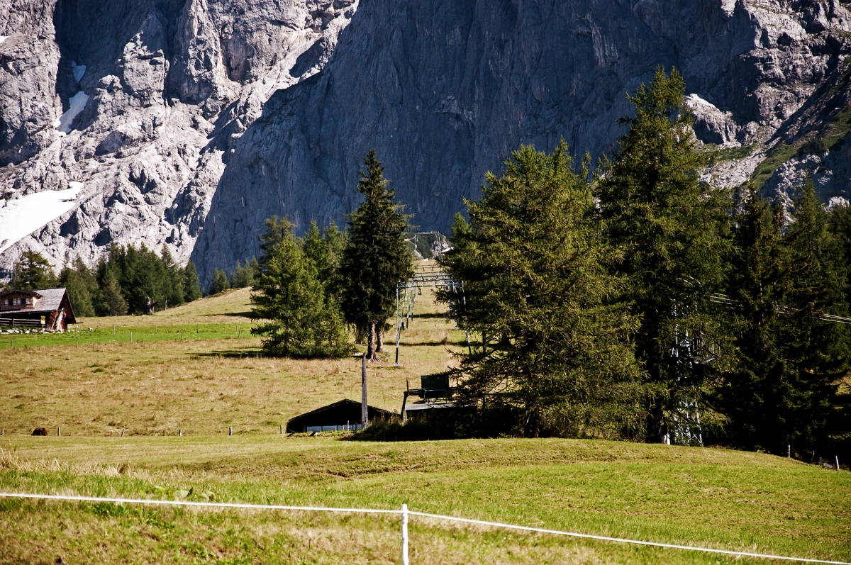 _dsc0137tdrgu.jpg