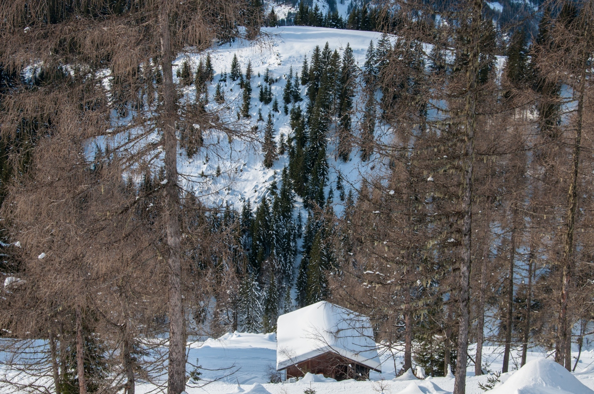 _dsc0139gtkul.jpg