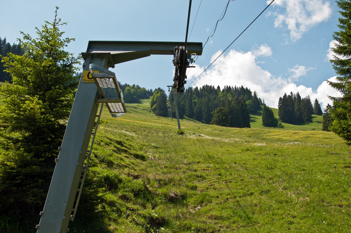 _dsc01401csiw.jpg