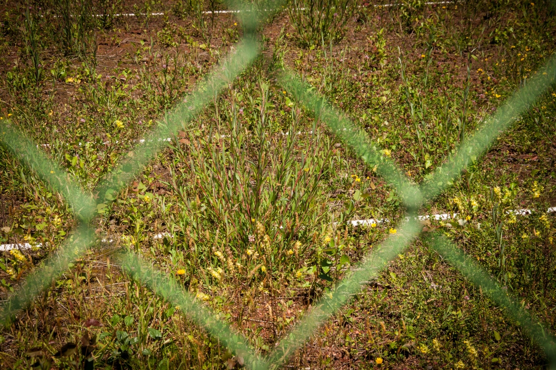 _dsc01409hd4o.jpg