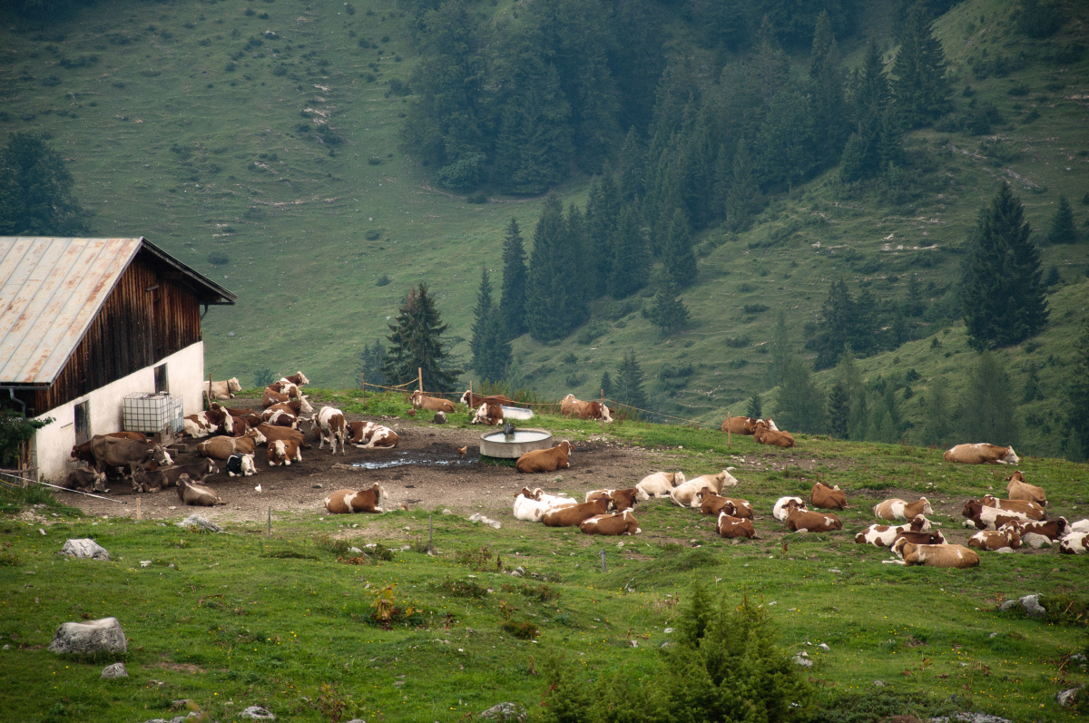 _dsc0147qujzs.jpg
