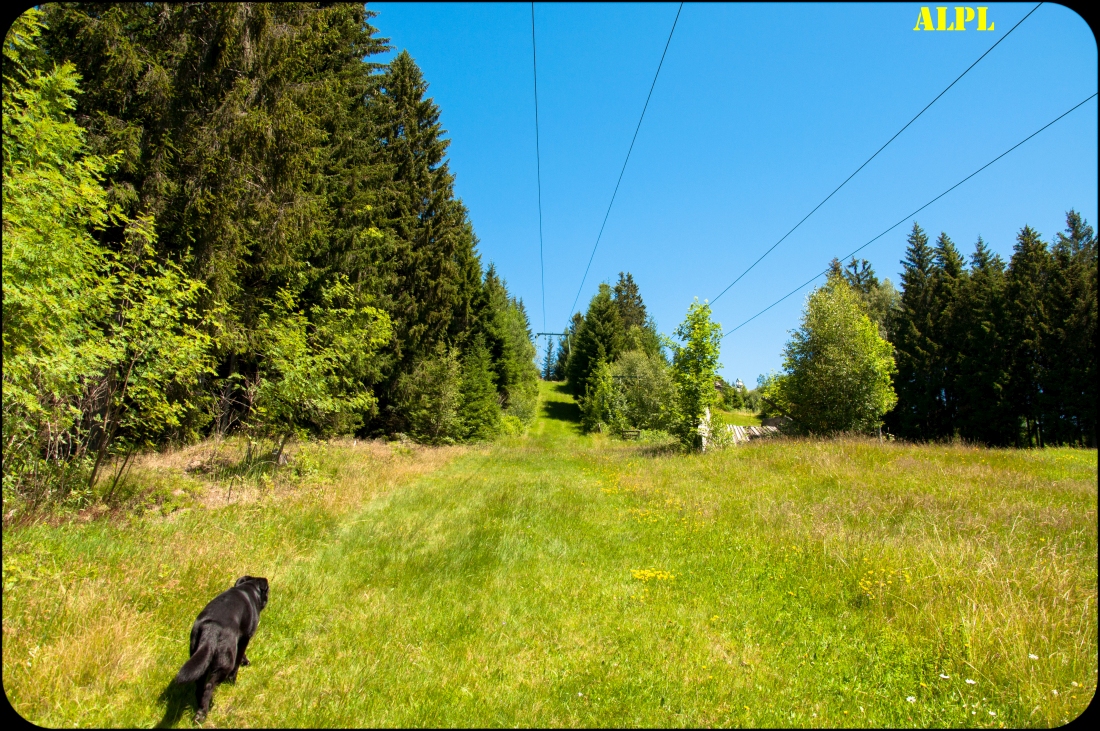 _dsc0151u7cb0.jpg
