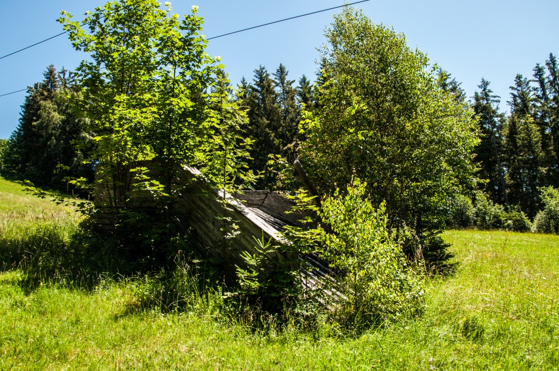 _dsc0152i3f90.jpg