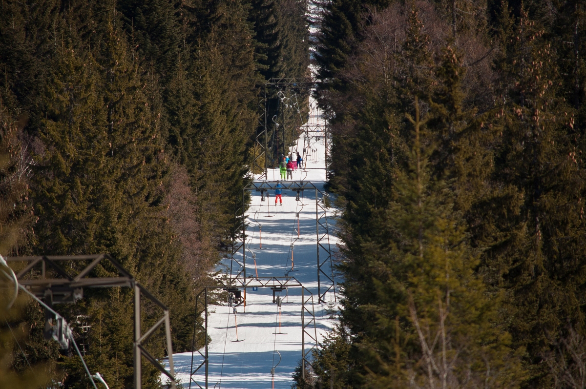 _dsc0153r2dyy.jpg