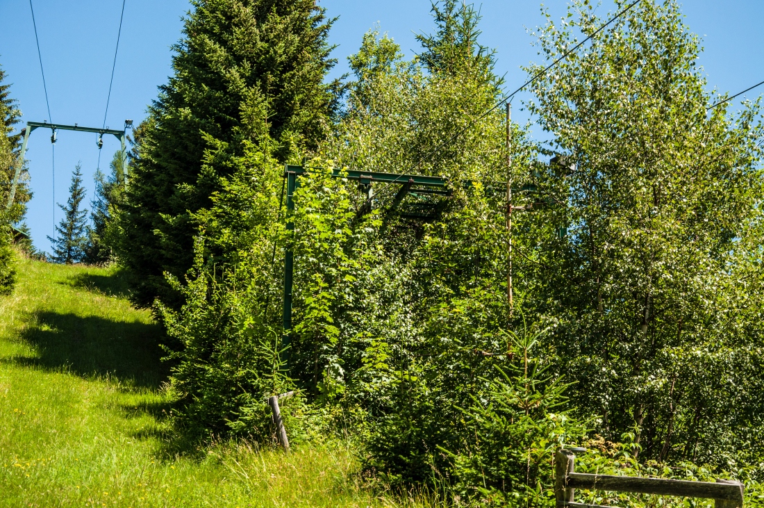 _dsc0155eje8r.jpg