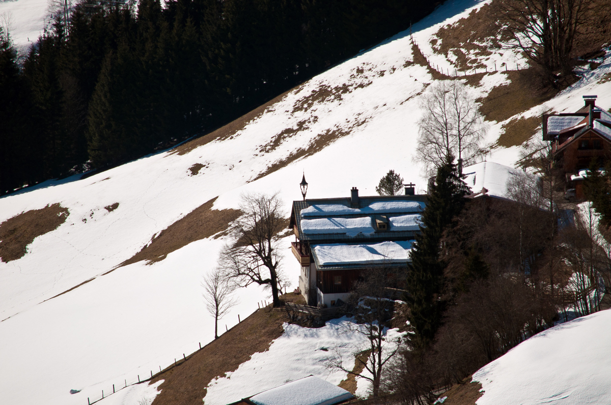 _dsc0161vyfnk.jpg