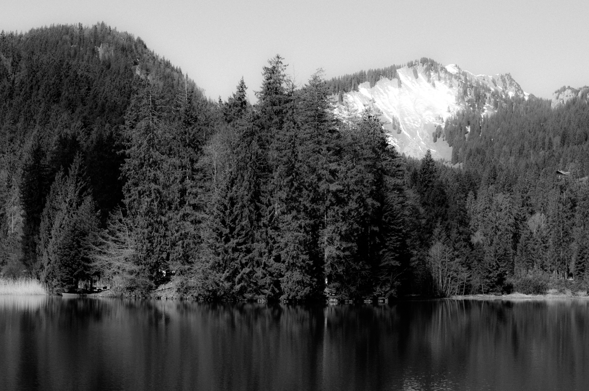 _dsc0162xijdj.jpg