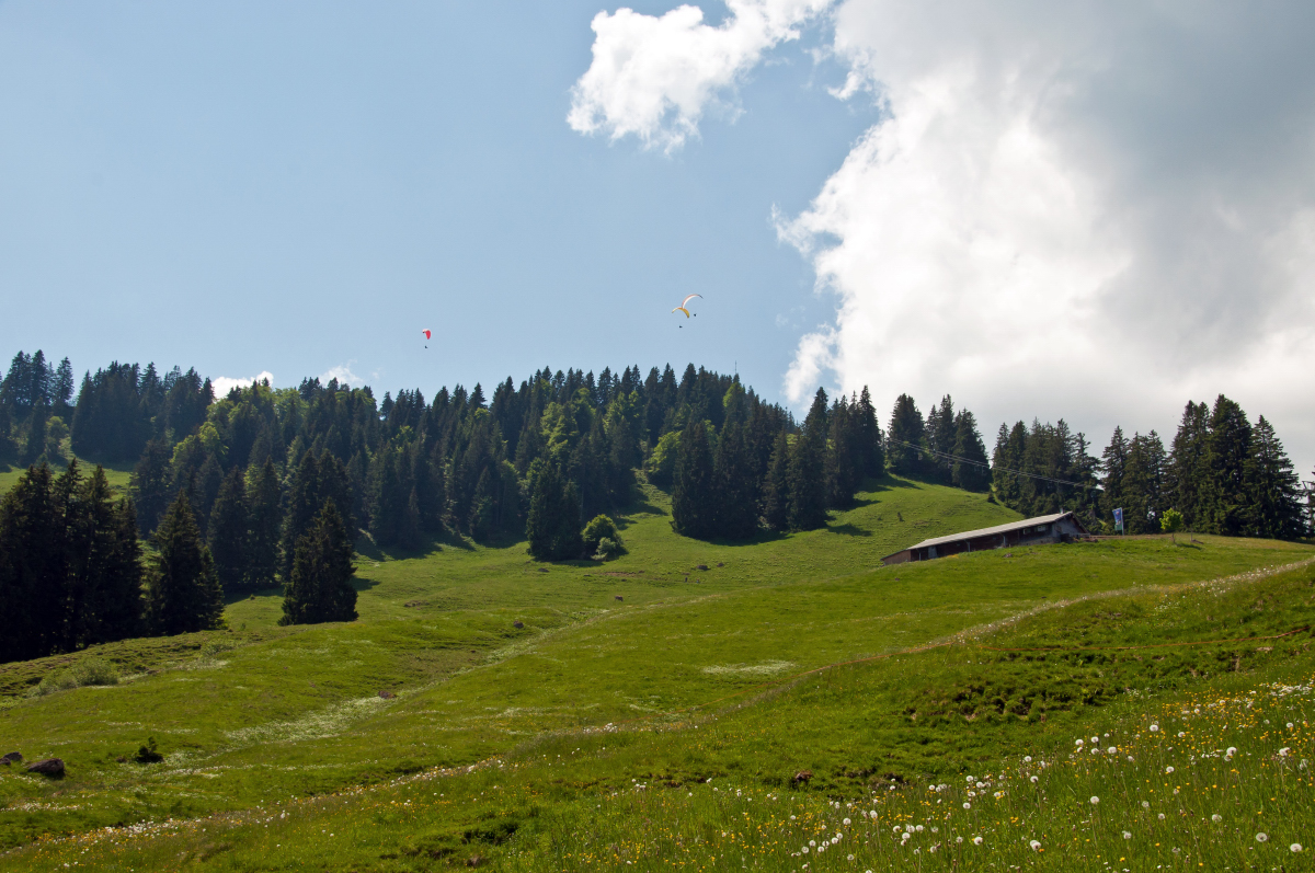 _dsc01664fs6u.jpg