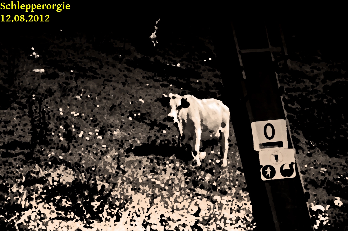 _dsc01678equ5.jpg