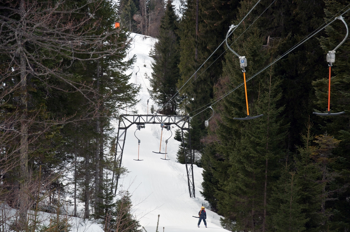 _dsc0175ggsvk.jpg