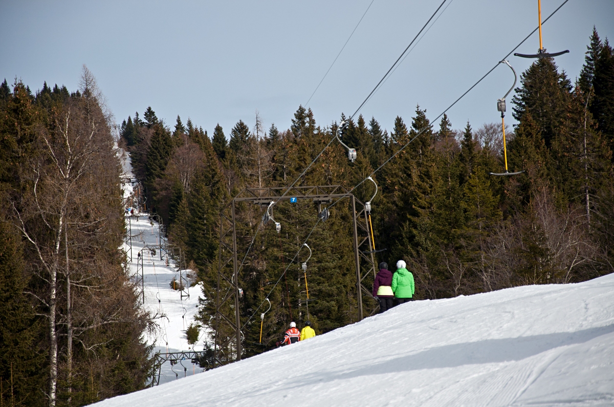 _dsc01778csdi.jpg