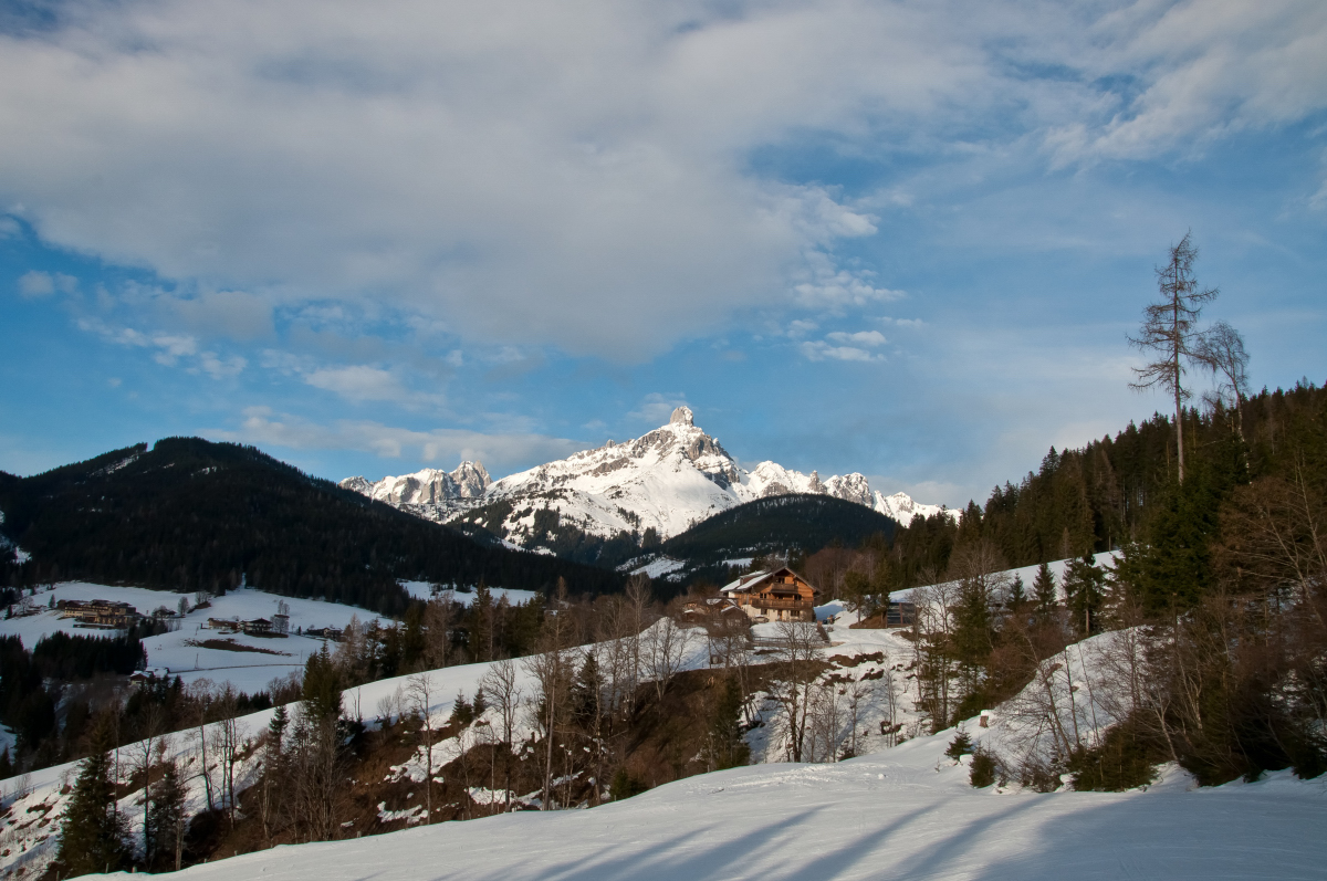 _dsc01826gsu9.jpg
