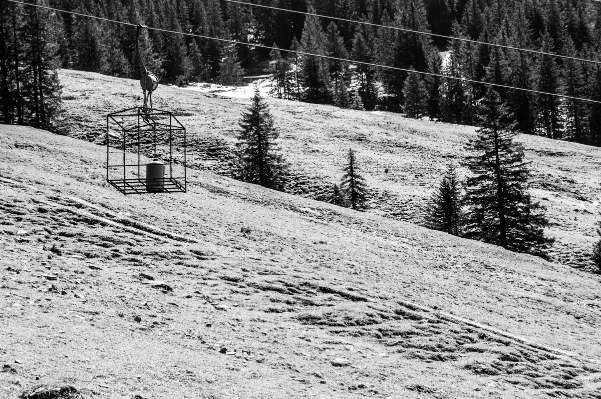 _dsc0192xvkja.jpg