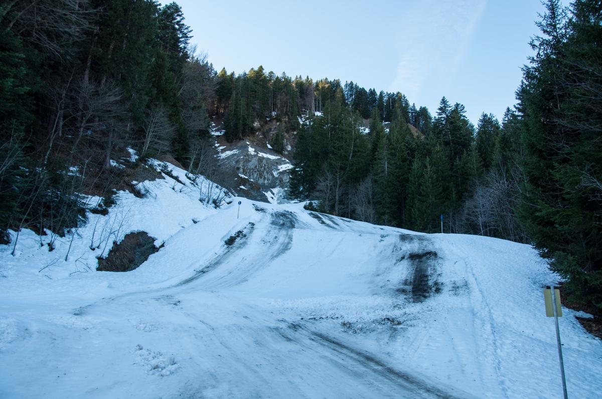_dsc02009ykj9.jpg
