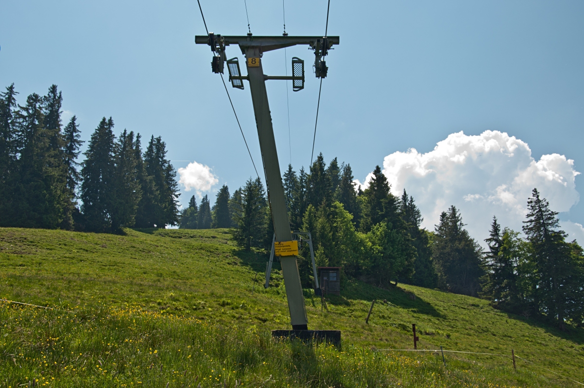 _dsc020353ubu.jpg