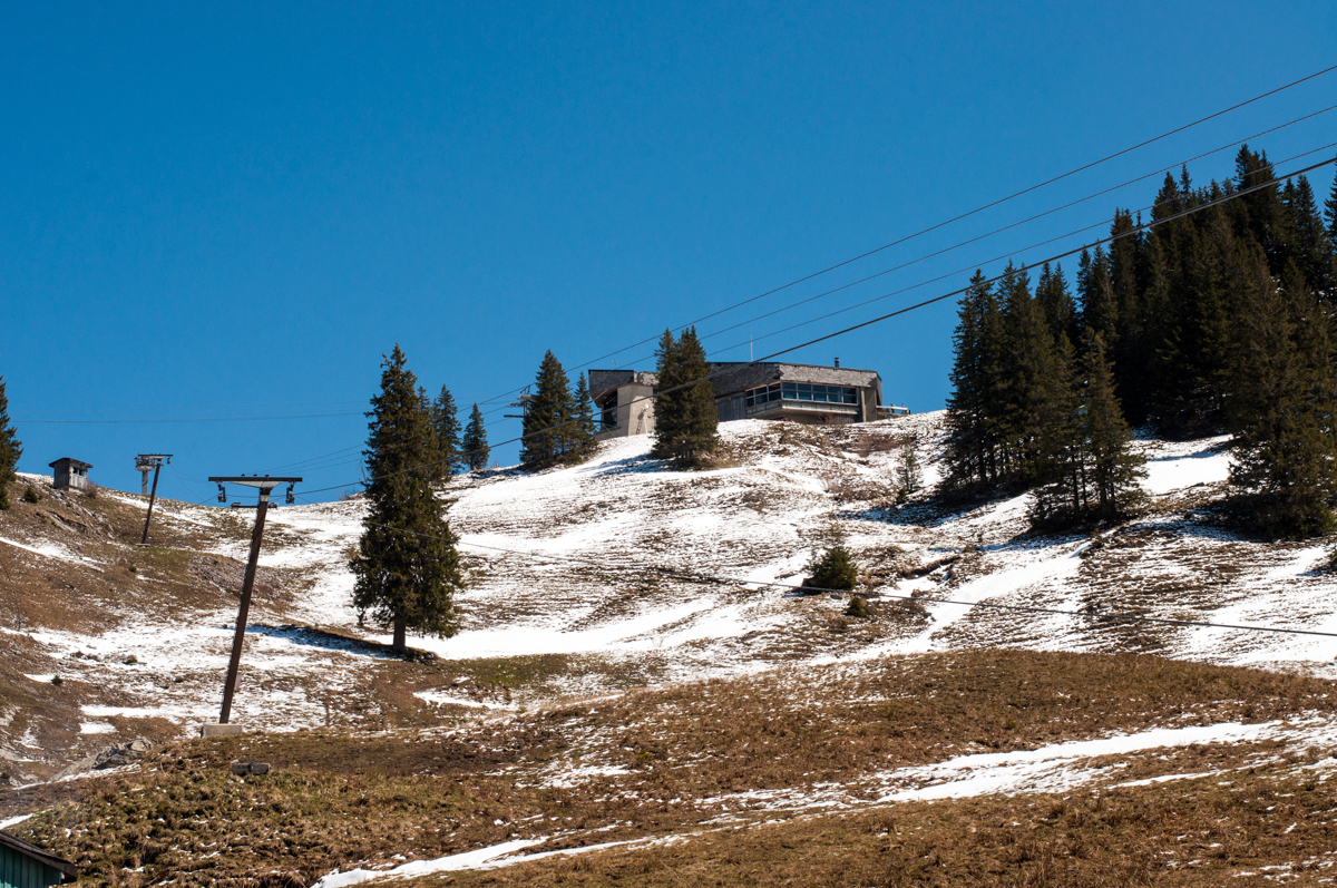 _dsc0206mlkoo.jpg