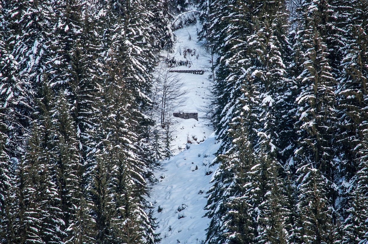 _dsc0210c3ks1.jpg