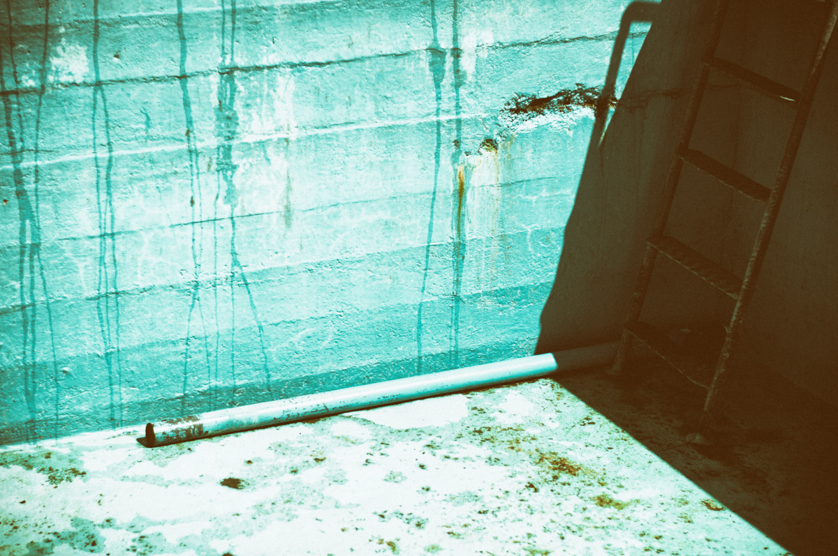 _dsc0212cwjg0.jpg