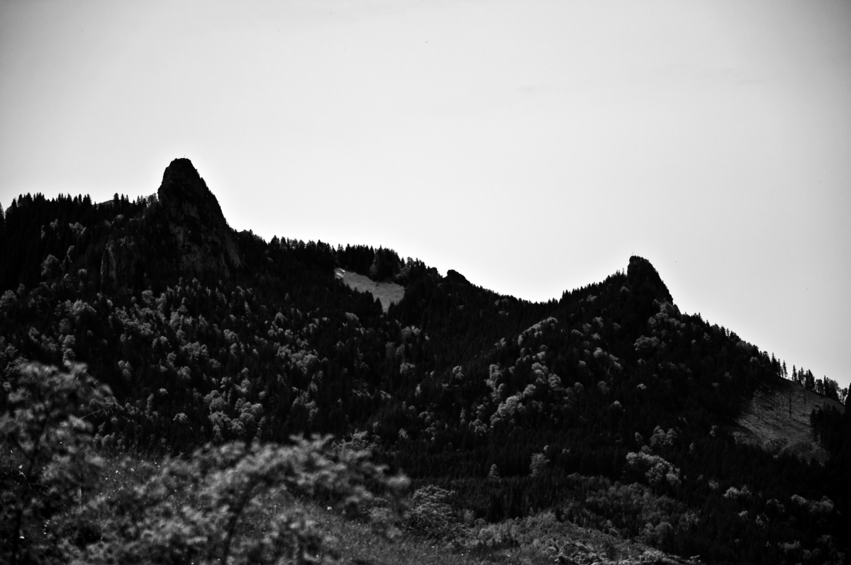 _dsc0213j2e17.jpg